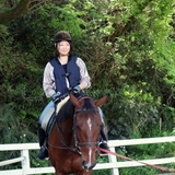 乗馬はお金がかかる？乗馬教室の料金相場や初心者が失敗しない教室の選び方など徹底解説