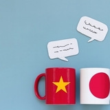 【2026年最新】ベトナム語教室の料金相場は？グループ・マンツーマン・オンラインレッスンの費用を徹底比較